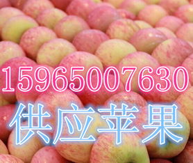 莒縣傲翔農副產品購銷處 探索海量高清圖片庫，展現農副產品的天然魅力
