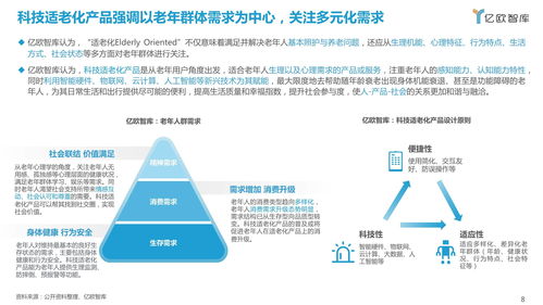 《2021中國科技適老化產品研究報告》——信息技術咨詢服務的角色與展望